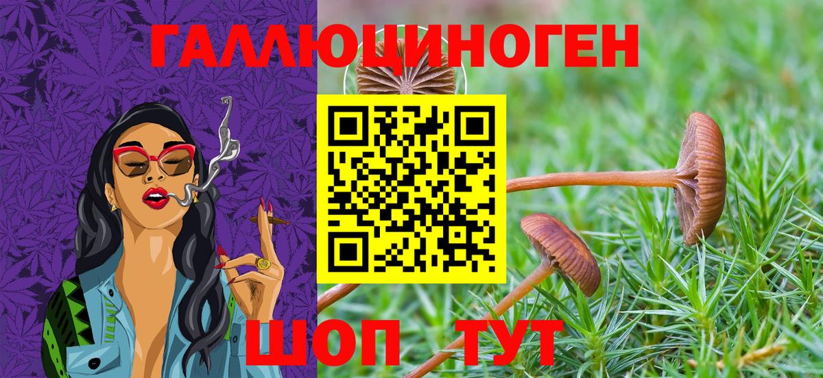 Воркута  Псилоцибиновые грибы Cubensis  Вход с VPN 